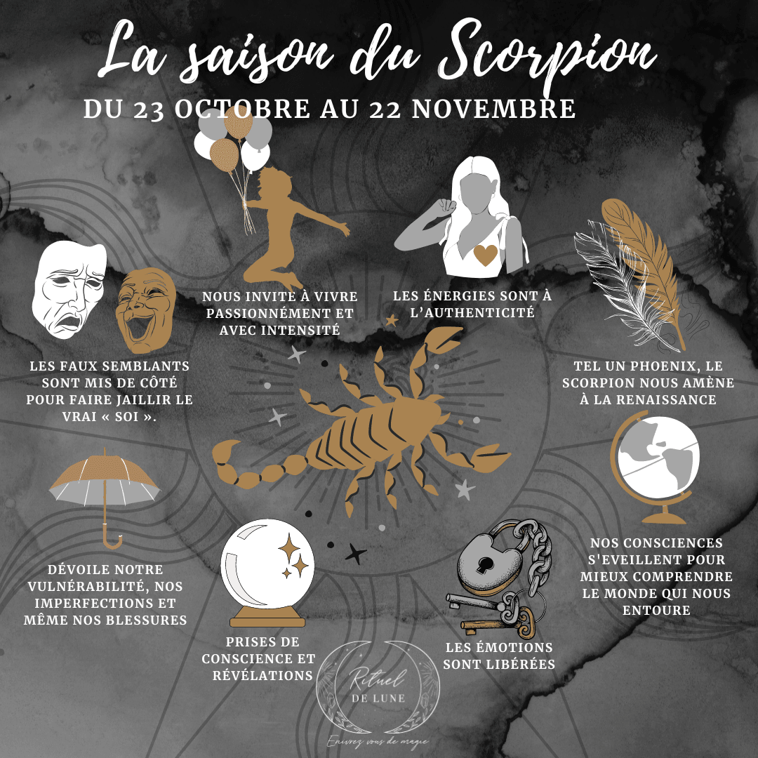 La Saison du Scorpion | Rituel de Lune